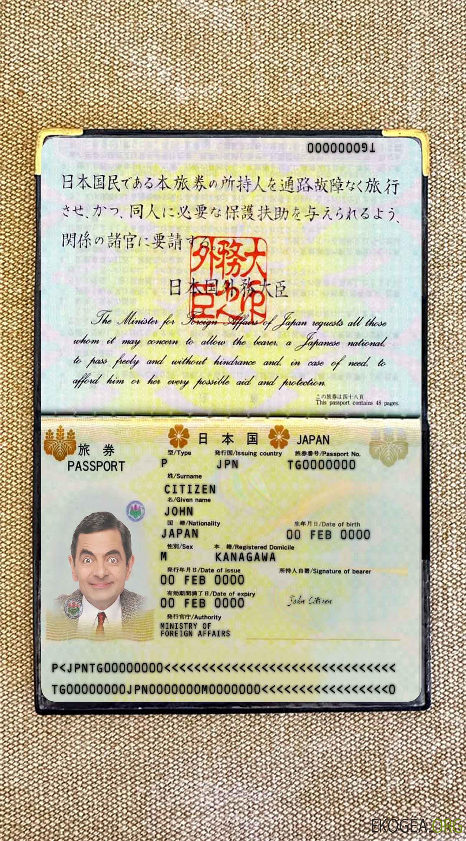 Aperçu photo du passeport japonais 2005 2015